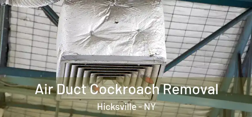 Air Duct Cockroach Removal Hicksville - NY