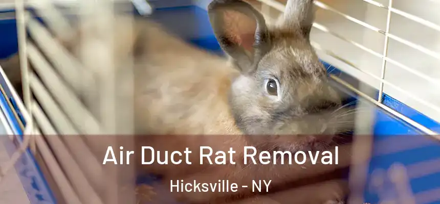  Air Duct Rat Removal Hicksville - NY