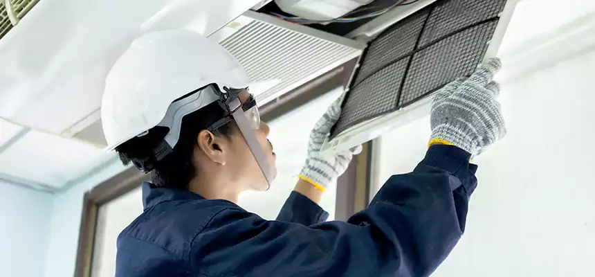 Our Mold & Mildew Removal from Air Ducts Services in Hicksville, NY