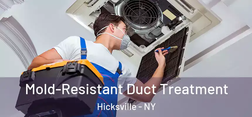  Mold-Resistant Duct Treatment Hicksville - NY