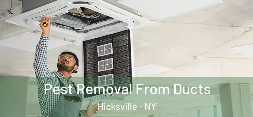 Pest Removal From Ducts Hicksville - NY