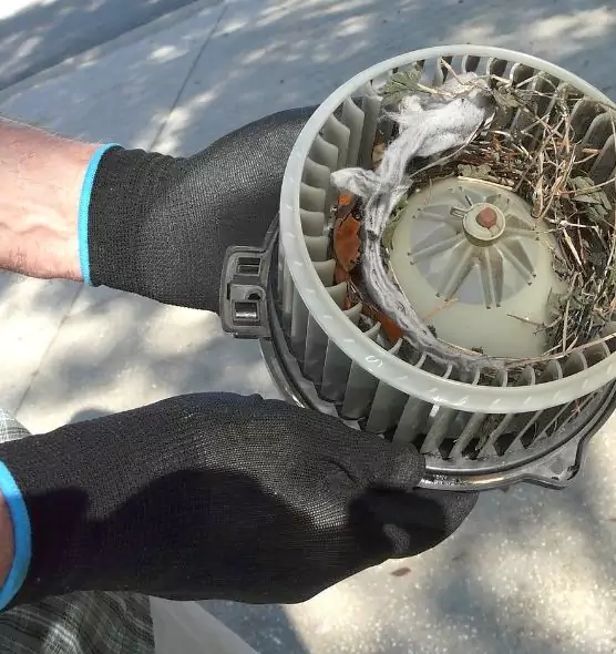 About Air Duct Mice Removal in Hicksville, NY