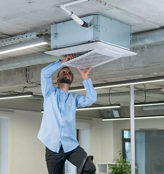 Advanced Rodent Droppings In Vents in Hicksville, NY