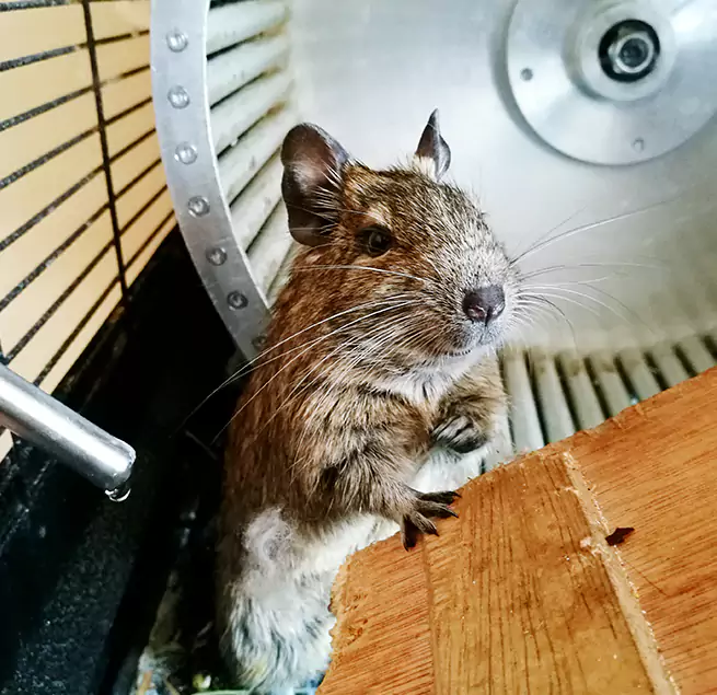 Why Homeowners & Businesses Trust Us Hicksville, NY