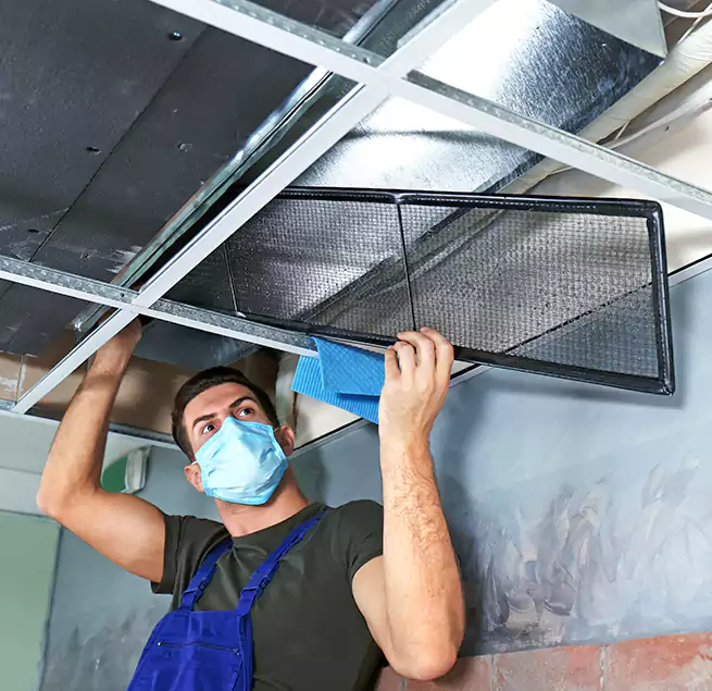 Why Homeowners Businesses Trust Us in Hicksville, NY